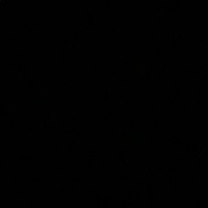 Meet your Posher, Bryant